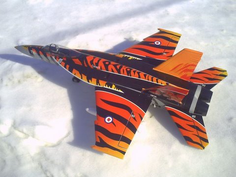 Exceed RC F/A-18E Tiger Jet. Put a tiger in your tank! - UCvPYY0HFGNha0BEY9up4xXw