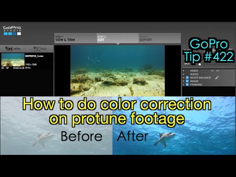 How To Do Color Correction On Protune Footage On GoPro Studio - GoPro Tip #422 - UCTs-d2DgyuJVRICivxe2Ktg