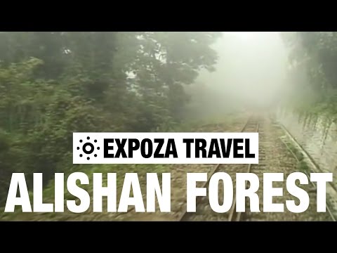 The Alishan Forest Railway Vacation Travel Video Guide - UC3o_gaqvLoPSRVMc2GmkDrg