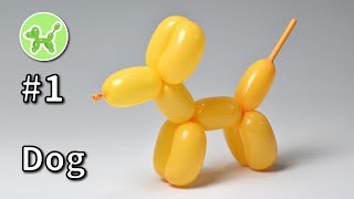 Dog - Balloon Animals for Beginners #1 / バルーンアートの基本 #1 (犬)