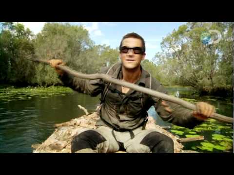 Man vs. Wild - One for the Croc | Northern Australia - UCqOoboPm3uhY_YXhvhmL-WA