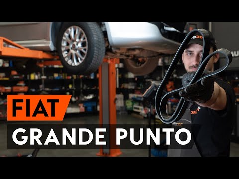 Come Sostituire La Cinghia Dei Servizi Nella Fiat Punto Fiat Punto