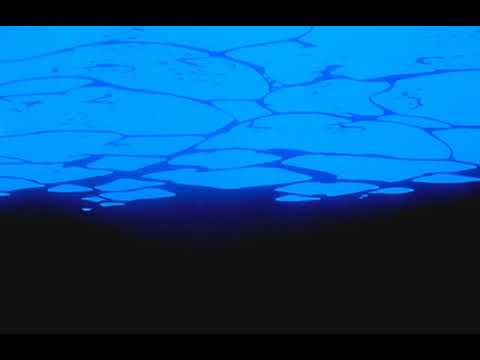 kendrick lamar ~ swimming pools ﾉ slowed + reverb ﾉ