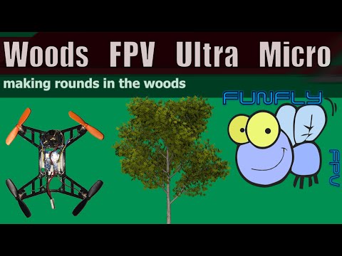 Ultra Micro Racer Woods FPV - UCQ2264LywWCUs_q1Xd7vMLw