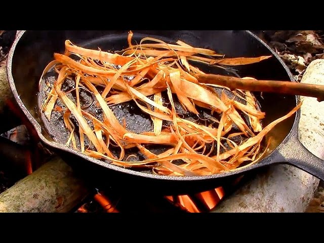 Is Tree Bark Edible?