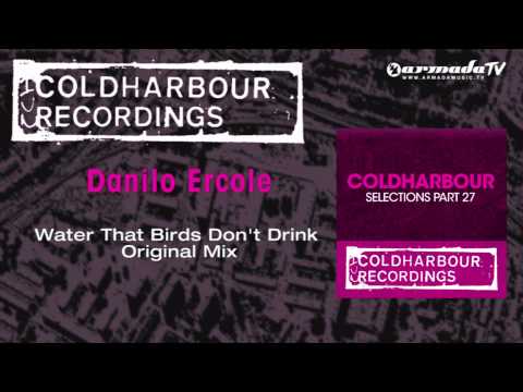 Danilo Ercole - Water That Birds Don't Drink (Original Mix) - UCGZXYc32ri4D0gSLPf2pZXQ