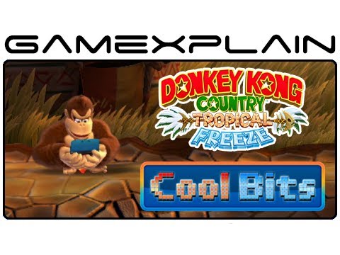 Cool Bits - Donkey Kong Country: Tropical Freeze's Idle Animation Secrets - 3DS, Partners, & More! - UCfAPTv1LgeEWevG8X_6PUOQ