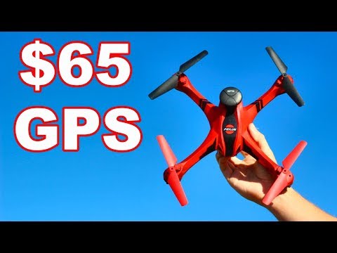 Must Have $65 GPS Drone That Actually Works - Feilun FX176C1 - TheRcSaylors - UCYWhRC3xtD_acDIZdr53huA