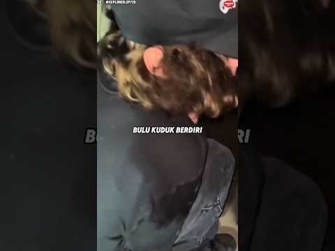 Mereka Menemukan Akhir Mengerikan di Selokan yang Terbengkalai