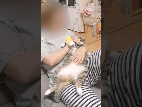 甘えるにゃんこ