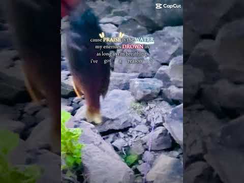 Praise❤️❤️❤️❤️