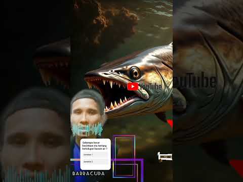 WILD LIFE : THE AMAZONE PREDATOR, BARRACUDA, SEA AND RIVER WORLD #barracudafish #shorts