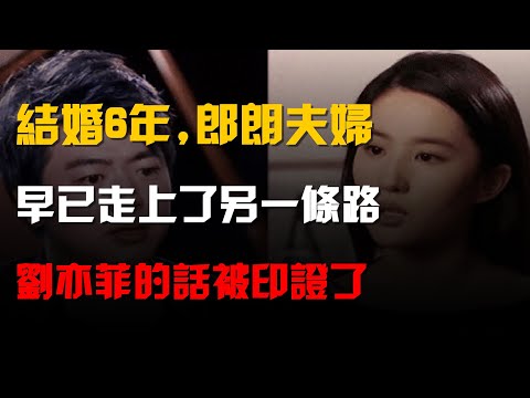 結婚6年,郎朗夫婦早已走上了另一條路,劉亦菲的話被印證了
