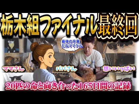 栃木組ファイナル最終回｜165日間の保護活動、ついに完結