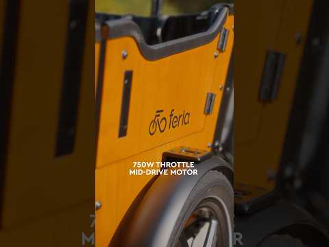 Meet the powerhouse of our cargo line - the Ferla Royce MAX