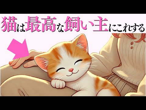 猫の動画サムネイル - 【猫が最高だと思う飼い主にだけする行動】 猫の雑学 #猫 #ねこ