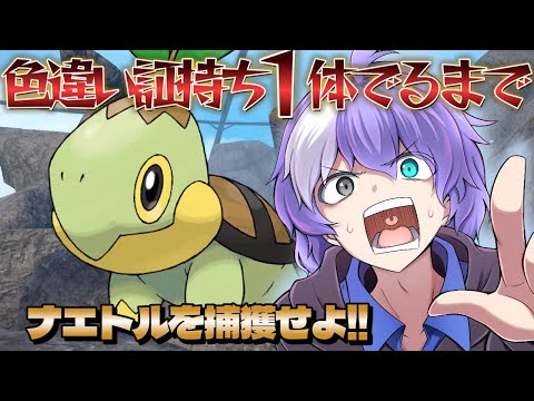 thumbnail_o0_SDkMzYq8