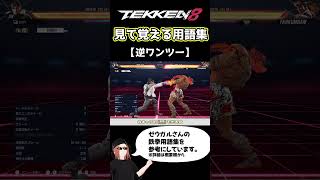 【鉄拳8】見て覚える用語集【逆ワンツー】