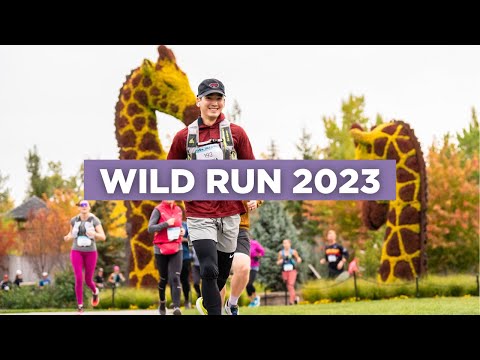 2023 Wild Run Recap