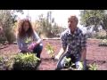 Taja Sevelle and Joyce Lapinsky help Ellen plant her home garden