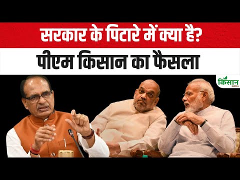 PM Kisan News : सरकार के पिटारे में क्या है पीएम किसान का फैसला