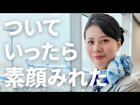【フライトついていったら】ANA CAのお仕事の裏側と癒しの時間を覗けました👀