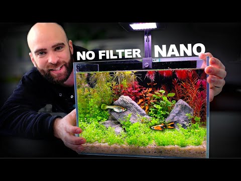 Nano Ecosystem Fish Tank You Can Put Anywhere! 👇👇MD MERCH CLICK HERE👇👇: 
FULL SHOP_ https_//md-fish-tanks.creator-spring.com

I have a 