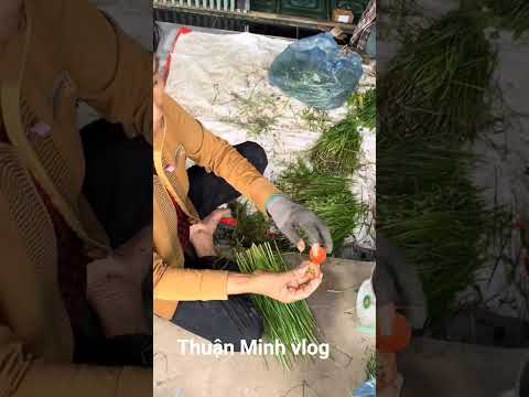 Hót Nhất Lúc Này Người Phụ Nữ Đem Vàng Mua Trên Mạng Đi Bán#phapluatxahoi#phapluatxahoi