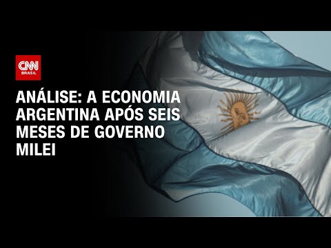 ​Análise: a economia argentina após seis meses de governo Milei | WW