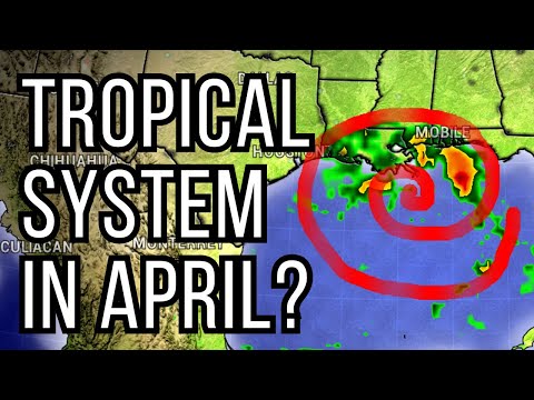 Tropical Storm Forming in the Gulf of Mexico?