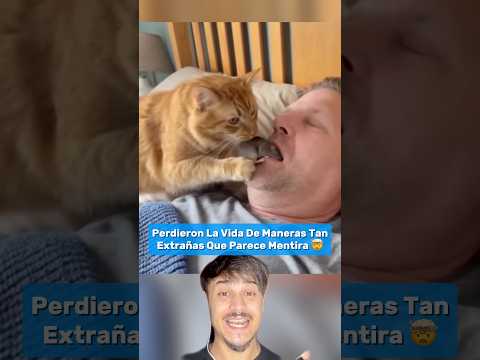 Perdieron La Vida De Maneras Tan Extrañas Que Parece Mentira Parte 12 #shorts