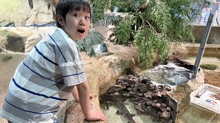 動画サムネイル