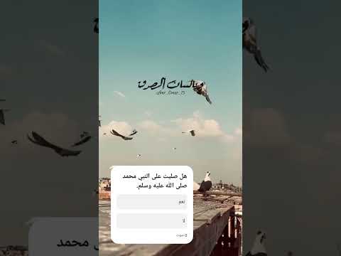 ٣١ أكتوبر ٢٠٢٥