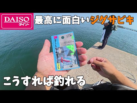 めちゃくちゃ面白いダイソージグサビキの釣り方のコツ教えます!【須磨海岸 南芦屋浜】