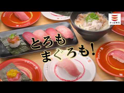 かっぱ寿司「絶品とろまぐろ祭り」篇15秒