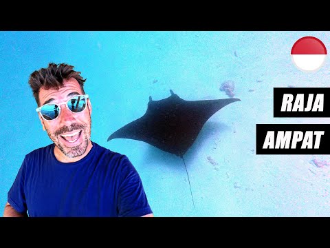 NAGER AVEC LES RAIES MANTA ! ???????? (RAJA AMPAT) | ...