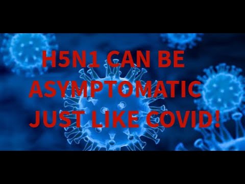 This Is Not Good, H5N1 Bird Flu Can Be Asymptomatic, Just Like Covid.