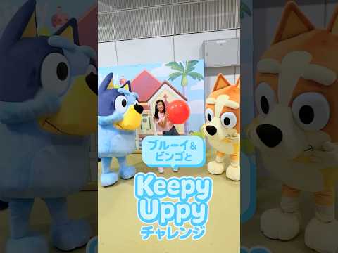ブルーイに会ってきたよ♫