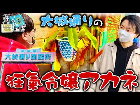 ライスチャンネル 公式 の最新動画 Youtubeランキング