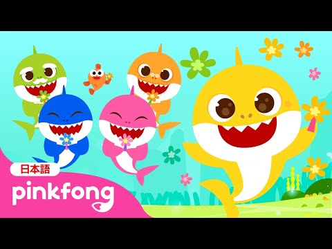 【新作】 ベイビーシャークと 🌈 いろあそび　しよう！ | すてきな　いろを　みつけよう✨ | ベイビーシャーク🦈いろあそび 1話 | どんな色が好き？ | ベイビーシャークとピンキッツ