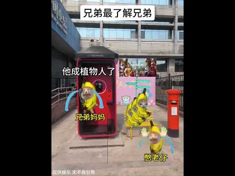 猫の動画サムネイル - 一句话拯救植物人的兄弟，医生自叹不如#有趣 #猫meme #猫meme剧场 #内容过于真实  #故事 #貓 #猫猫meme小剧场 #喵不可言
