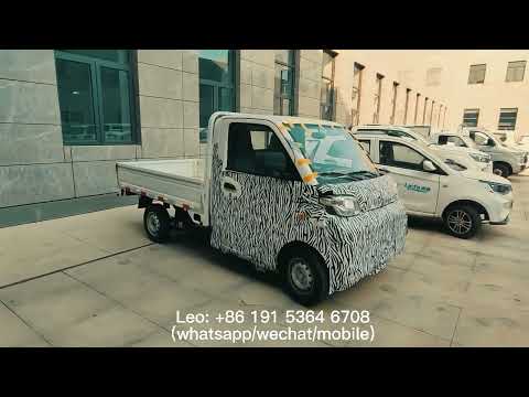 Yunlong 2023 the newest EEC L7e Reach mini electric truck.