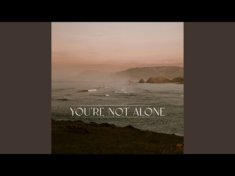 RY X, Punctual - You're Not Alone feat. RY X (James Carter Remix)