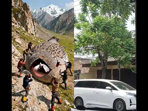 burung ajaib #climbing #wildlife #nature #funny #animalrescue #cute #birdrescue #mountains #viral