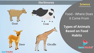 Food - Where Does it Come From Class 6 Science - Types of Animals Based on Food Habits