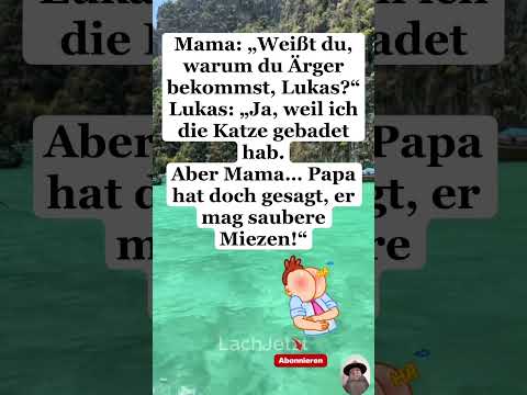 Saubere Miezen #lustig  #witzig  #humor #memes #deutschland  #shorts #meme #fyp #youtube
