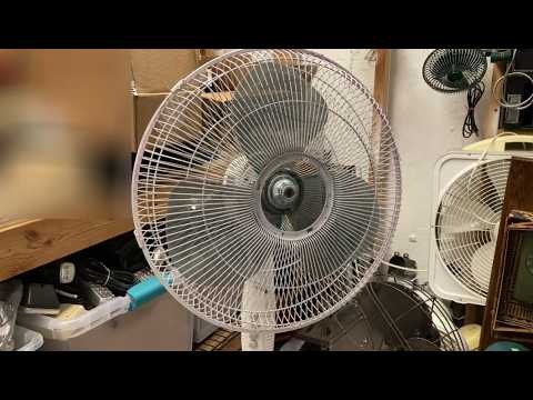 Curbed Midea FS40-8JC 16" Oscillating Stand Fan | Initial Checkout