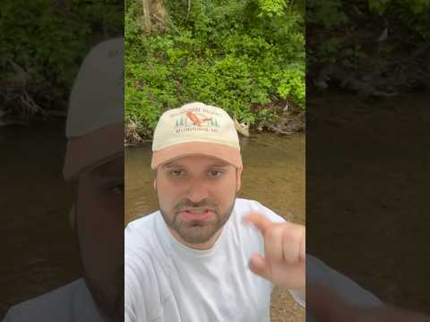 Pop Tart in Minnow Trap! #fishing #kentucky #trapping #fish #food #poptarts #minnows