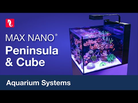 MAX NANO Peninsula & Cube – minimum hassle, maximum peace of mind