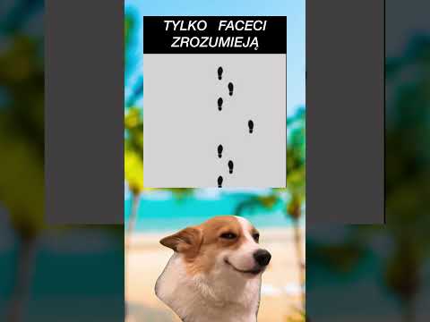 To zrozumieją tylko faceci! #shorts #memy #śmieszne #polska